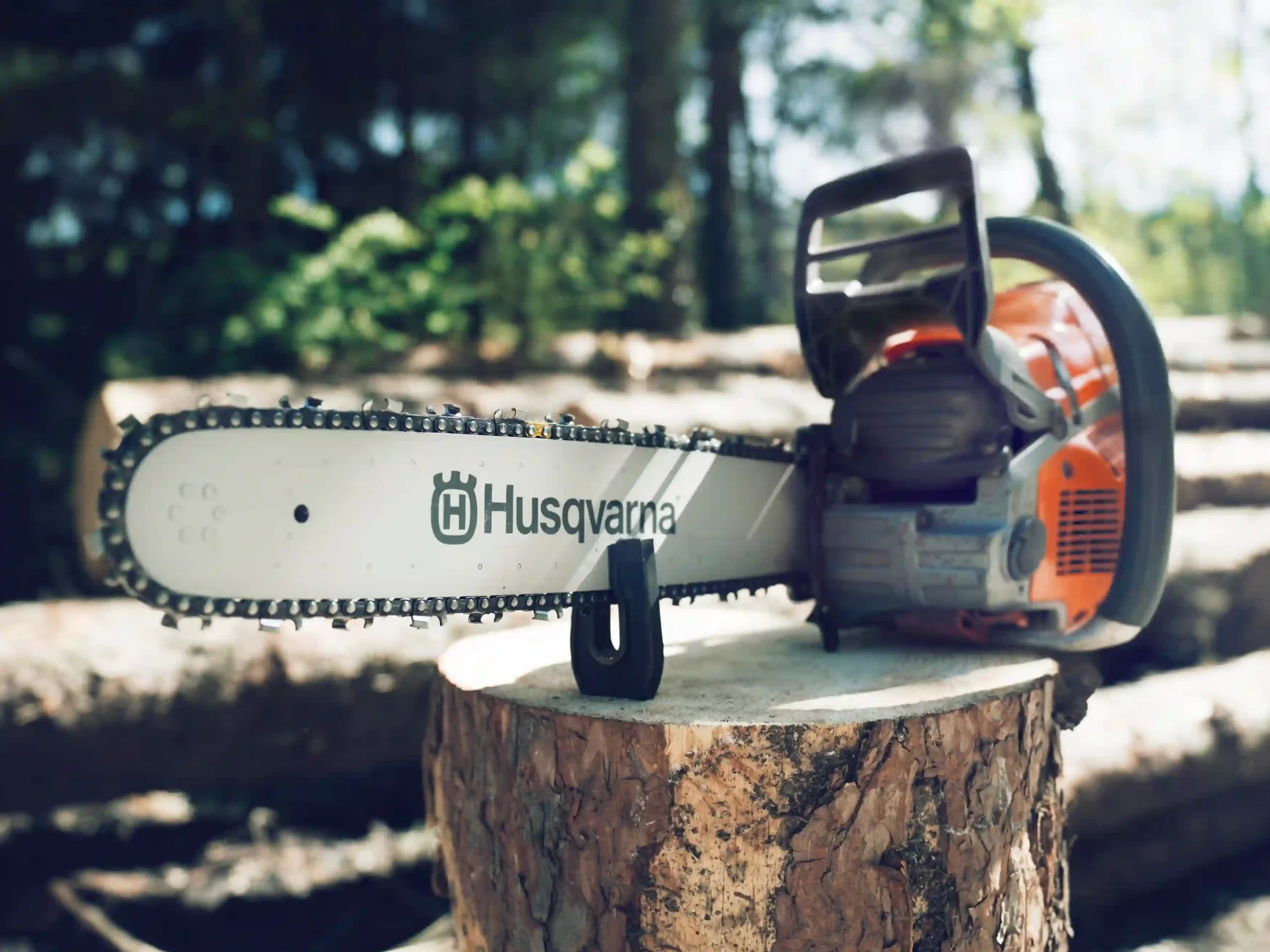 Crafting Precision in Tree Cutting Methods for Affordable Tree Care