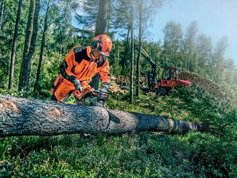 precision in tree cutting methods